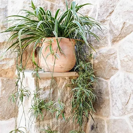 Apartmán Bobic Cavtat